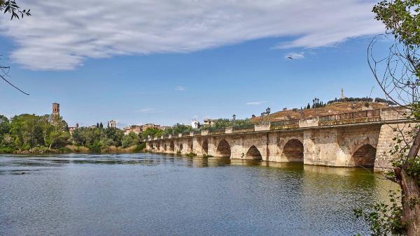 Pont de l’Èbre de Tudela